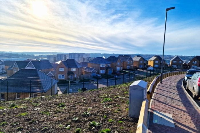 20230117_111328 (Large) - Copy